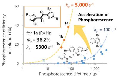 The phosphorescence of thienyl diketone, compared to regular organic molecules
