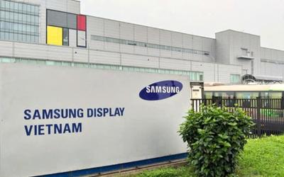 Samsung Display production line, Vietnam