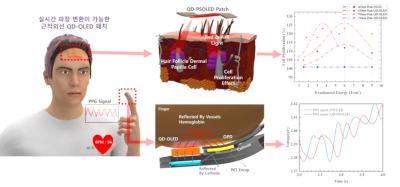 Encouraging hair growth using QD-OLED patches, Gachon University